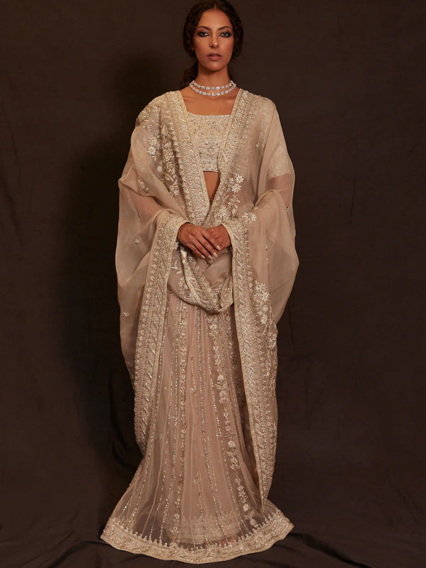 Blouse & Sari